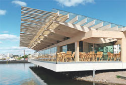 Low-iron glass. When used in building fa&ccedil;ades, Pilkington Optiwhite&trade; low-iron glass offers higher light transmission than conventional float glass.  